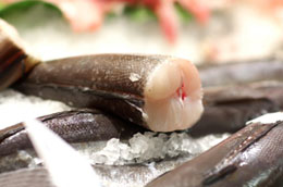 Seabass (Toothfish)